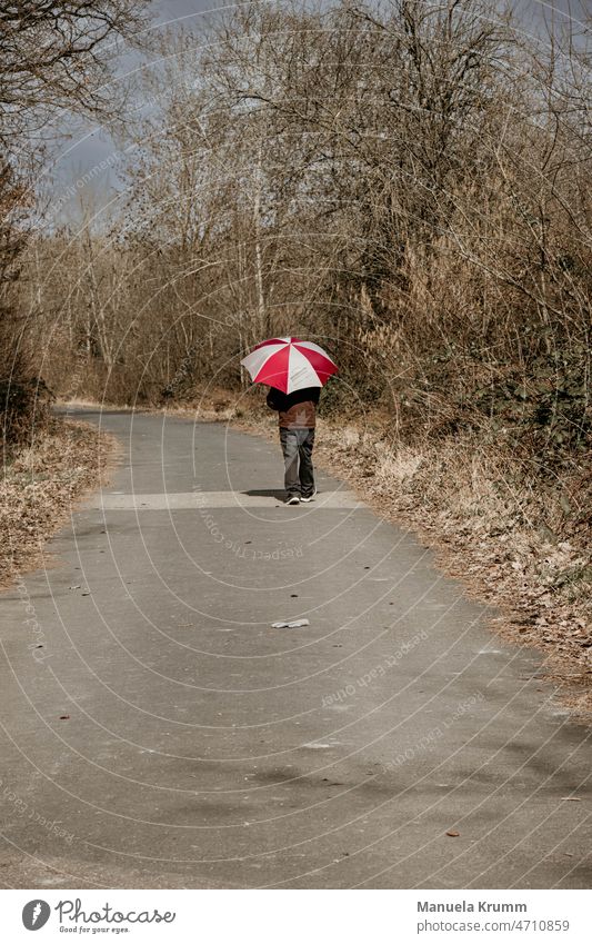 Spaziergänger mit Sonnen -Regenschirm Sonnenlicht Licht Licht & Schatten Außenaufnahme Farbfoto Tag rot-weiß Sonnenschirm Waldspaziergang Schirm Schutz