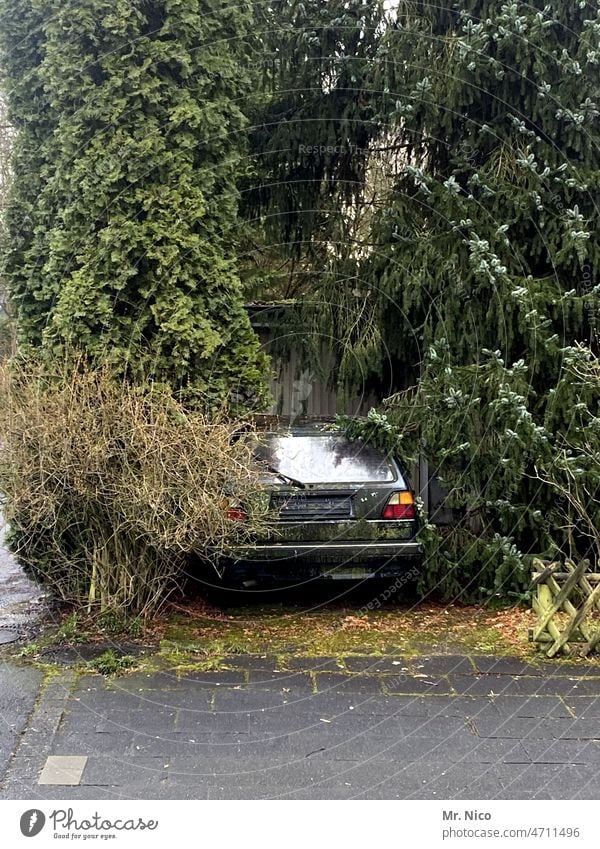 Dauerparkplatz PKW Auto Parkplatz abgestellt Fahrzeug parken gebüsch zuwachsen Grünpflanze umwuchern verwuchert Autowrack Rostlaube ausgedient Versteck