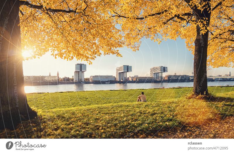 herbst die pollerwiese in köln deutschland am rheinufer Köln Kranhäuser Vorabend Großstadt dom rheinauhafen Architektur Kölner Dom Ufer Sonne Wolken Himmel