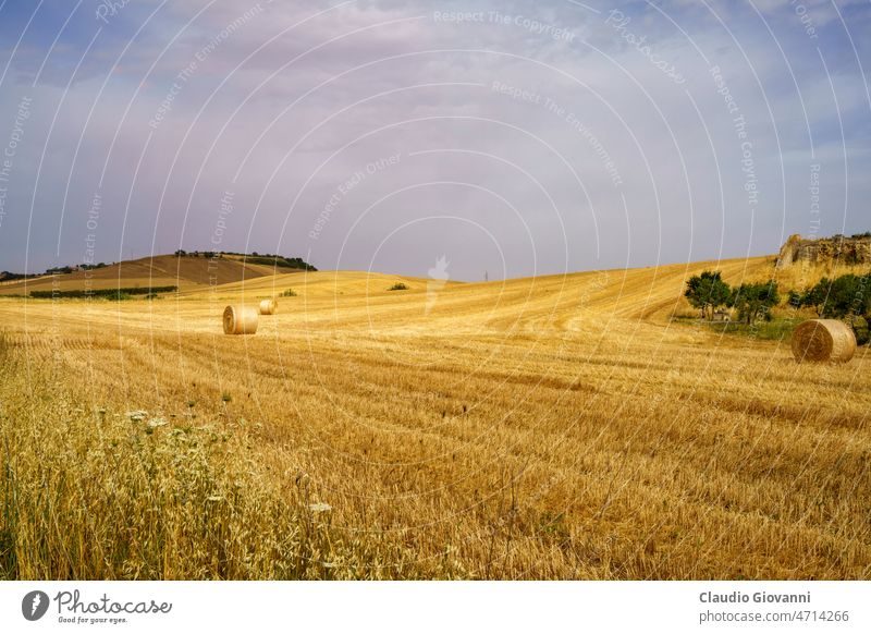 Ländliche Landschaft bei Matera und Gravina di Puglia Basilikata Europa Italien matera Ackerbau Ballen Farbe Tag Feld Natur im Freien Fotografie Straße ländlich