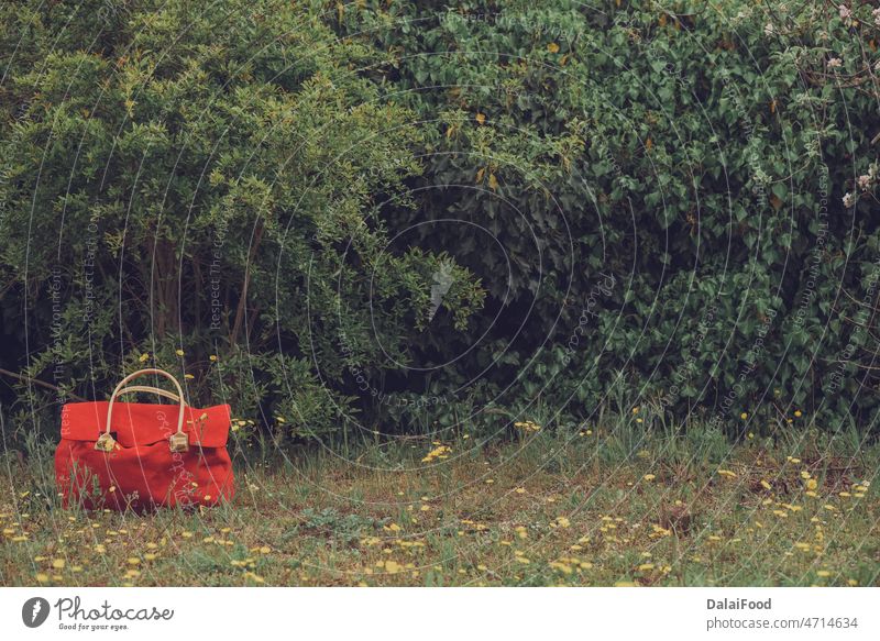 roter Koffer auf natürlichem Efeuhintergrund Hintergrund schön Schönheit Blüte Pflege Nahaufnahme Farbe farbenfroh Dekoration & Verzierung Umwelt Flora geblümt