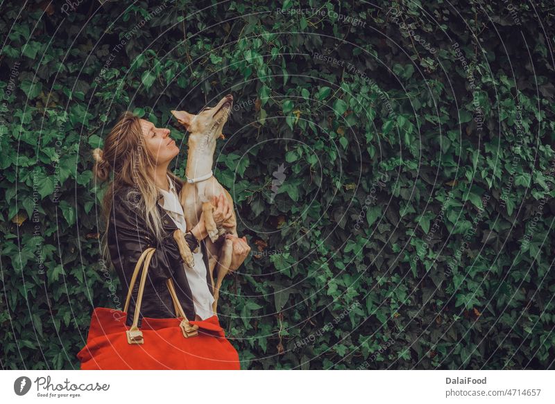 Mädchen und Hund mit rotem Koffer freuen sich auf den Urlaub Tier Hintergrund Tasche Gepäck schön Eckzahn Konzept niedlich Freund lustig Glück Feiertag