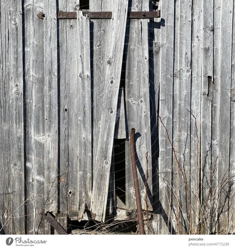 versteck Holz Holzhütte Bretter alt grau verwittert kaputt Spalt Loch Versteck verstecken Unterschlupf Detailaufnahme Verfall Strukturen & Formen