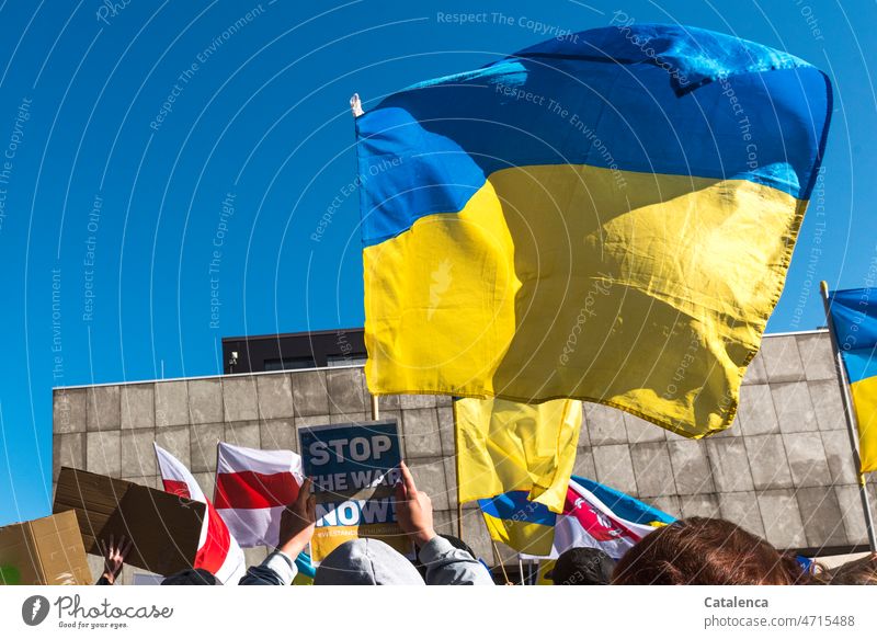 Wehende Fahnen der Ukraine Himmel Demo Stadt Architektur Bauwerk Europäische Union schwenken Krieg Balu Gelb Flagge Politik & Staat Zeichen Demoschild