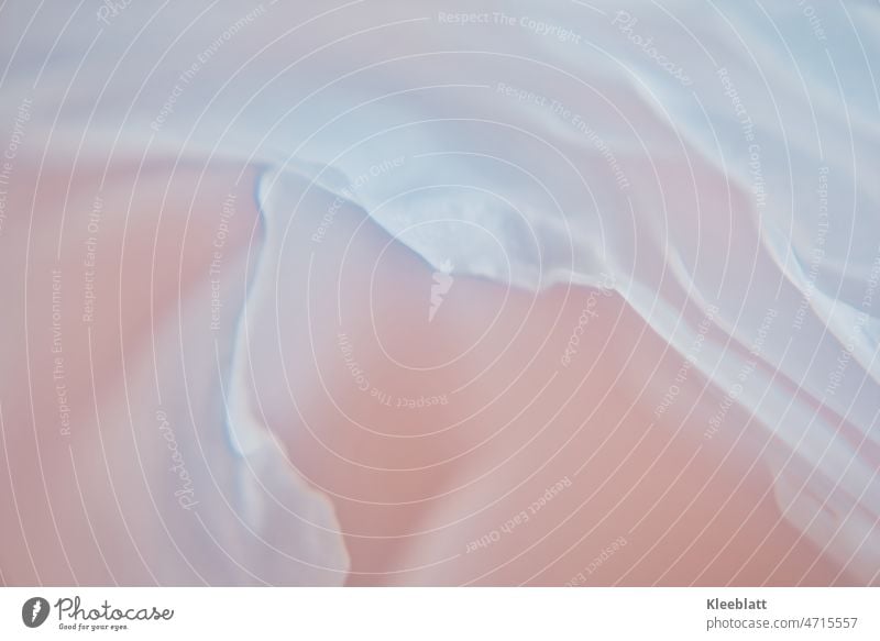 Nahaufnahme einer Rosenblüte Pastellfarben Rosa künstlerisch Kunst Filter stark bearbeitet Unschärfe rosa Töne Struktur Hintergrundbild Wellen Kontrast abstrakt