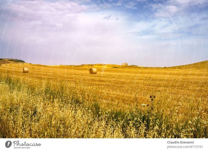 Ländliche Landschaft bei Matera und Gravina di Puglia Basilikata Europa Italien matera Ackerbau Ballen Farbe Tag Feld Natur im Freien Fotografie Straße ländlich