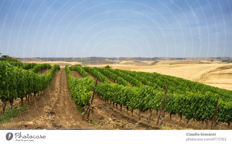 Ländliche Landschaft in der Basilikata, Italien, im Sommer Europa Gravina Melfi Potenza Apulien Ackerbau Farbe Tag Feld Natur im Freien Fotografie Straße