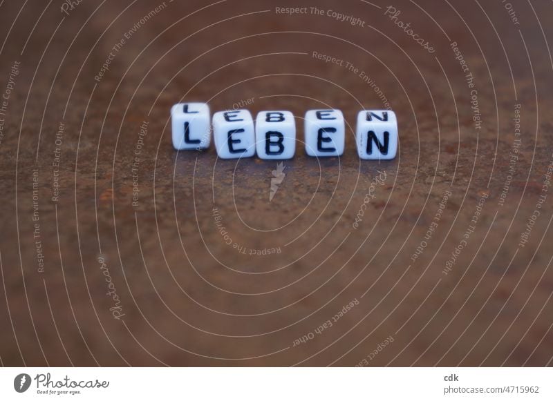 LEBEN Leben Schrift Schriftzug Buchstaben Schriftzeichen schwarzweiß Rost rostig Kontrast Botschaft Message braun alt neu Mitteilung Zeichen Wort