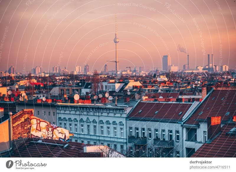 Berliner Skyline aus Neukölln mit Fernsehturm Morgens Totale außergewöhnlich trendy Coolness ästhetisch Sightseeing Städtereise Berliner Fernsehturm