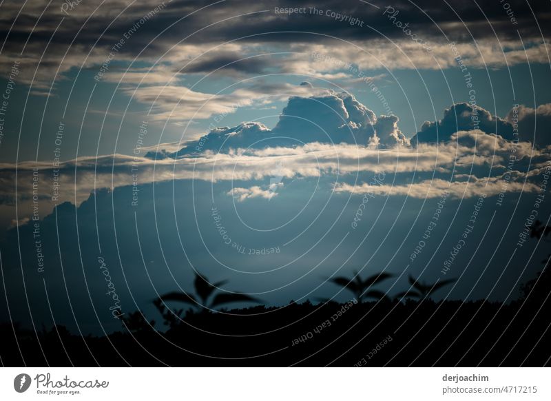 Wolken  Berge über dem weiten Land. Himmel Außenaufnahme Sommer Tag Schönes Wetter Natur Farbfoto Umwelt Menschenleer Pflanze Landschaft Sonnenlicht