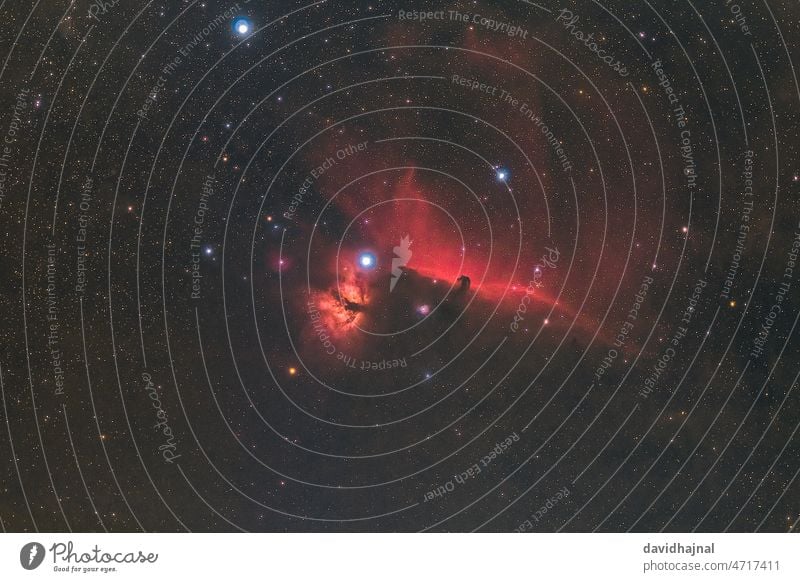 Pferdekopf- und Flammennebel Pferdekopfnebel barnard 33 ngc 2024 Orion Nebel Nacht tief Himmel Milchstrasse Stern Sternbild Mannheim hell Deutschland Europa