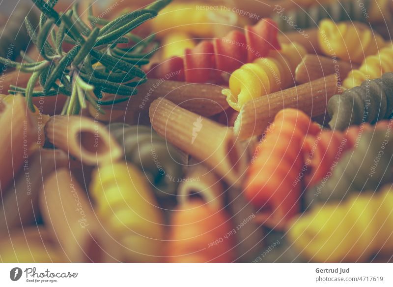 Bunte Nudeln vor der Zubereitung mit frischem Rosmarin Essen Food Innen Stillleben Lebensmittel Ernährung Ernährungsumstellung Foodfotografie Gesunde Ernährung