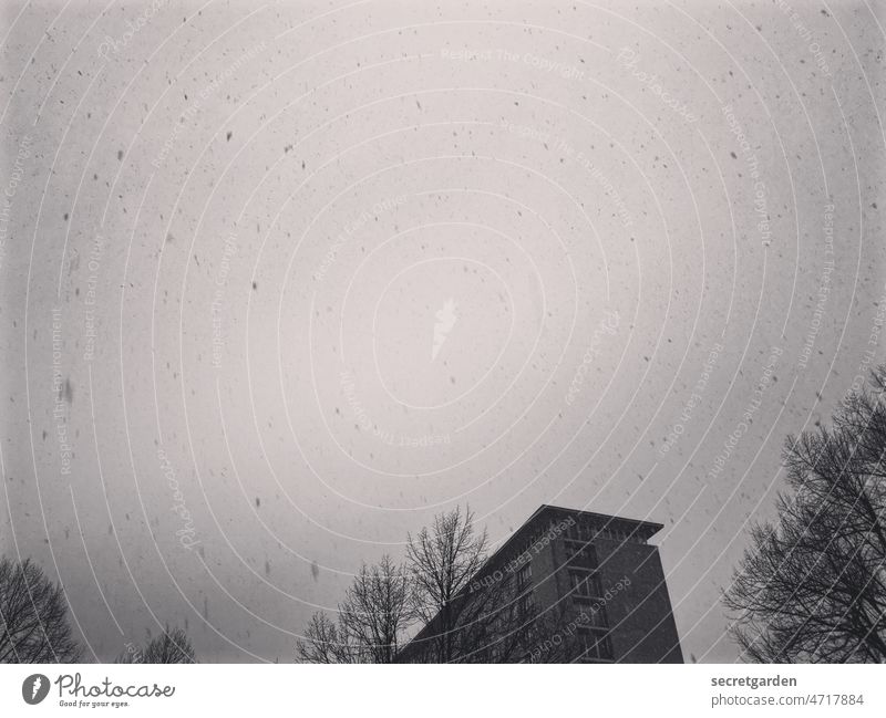 Frieren für den Frieden Schnee düster Depression depressiv Gebäude Hochhaus Schneefall Schneeflocke Himmel bedeckt Baumwipfel Außenaufnahme kalt Winter dunkel