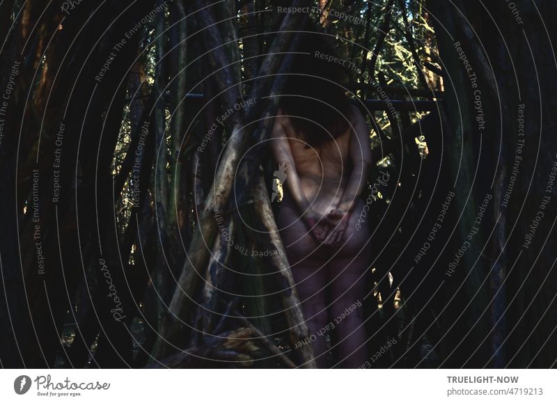 Surprise! Nackte langhaarige Frau beim Waldbaden Forest Bathing Shinrin-Yoku in einer Hütte aus Baumstämmen, ein wenig Sonnenlicht fällt auf Rücken, Po, Hände, Arme und Beine