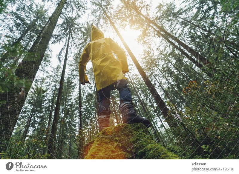 Junger Mann im gelben Regenmantel, der auf einem Baumstamm im Wald steht und in die Baumkronen schaut Herbst böse märchenhaft Angst Wanderung wandern einsam