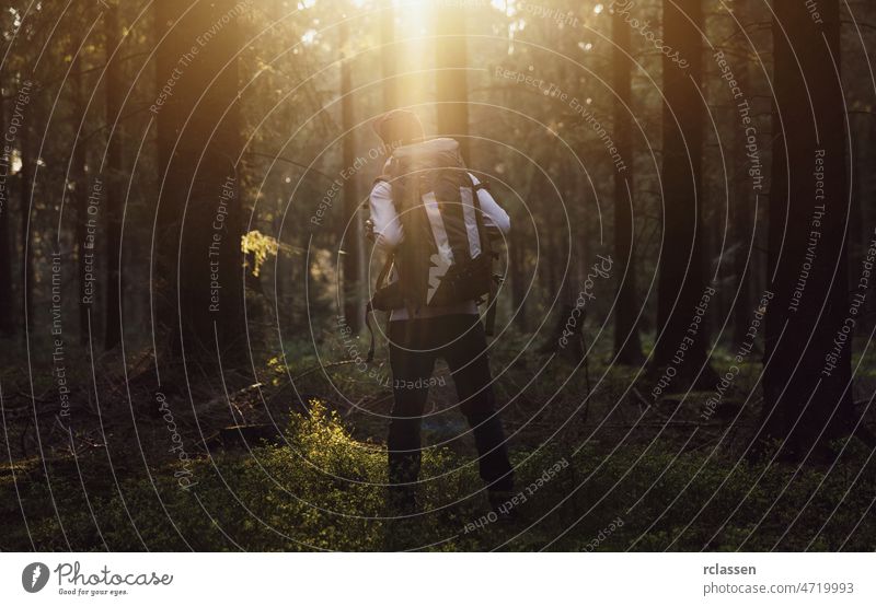 Wanderer steht im Wald und beobachtet den Sonnenuntergang über den Bäumen Natur Landschaft Frühling Sonnenlicht Baum Sommer Nadelholz idyllisch Umwelt