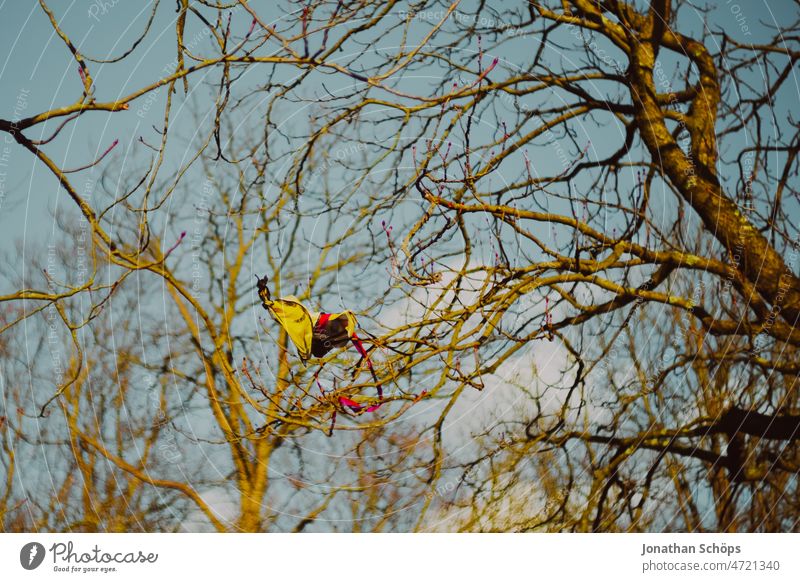 verfangener Drachen im kahlen Baum kaputt flugdrachen drachensteigen Drachenfliegen Drachen steigen lassen Kahl Wald Himmel Pech Unglück Absturz