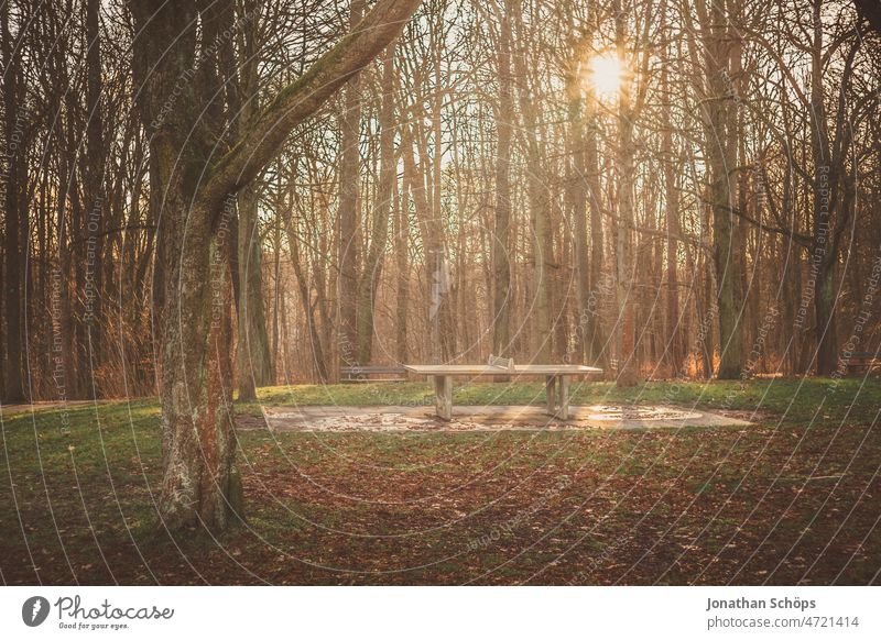 Tischtennisplatte im Wald Gegenlicht Outdoor Outdoorplatte Steinplatte Platz Sport öffentlich Freizeit Chemnitz Freizeit & Hobby Spielen Außenaufnahme Tag