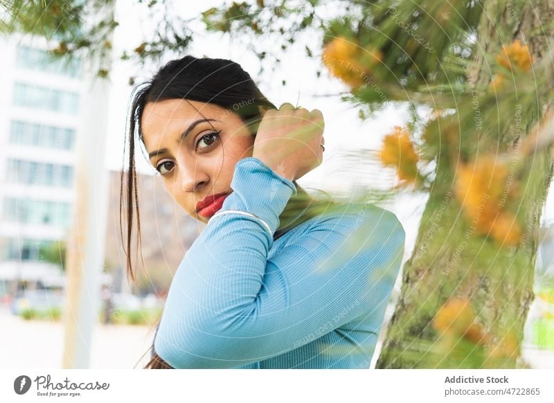 Lächelnde indische Frau in der Nähe eines Baumes Vorschein Straße Großstadt urban Ast feminin Stil Kofferraum Revier lange Haare attraktiv Zweig jung Dame Inder