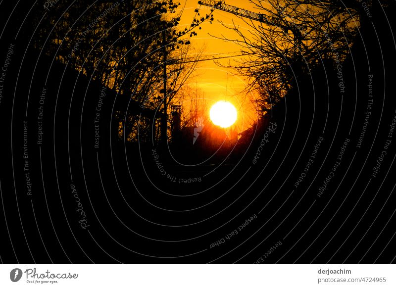 Die Sonne versinkt hinter den Büschen und Bäumen. Oberhalb der Kran -Ausleger, hat sie ihn  jetzt losgelassen. Sonnenuntergang Himmel Strand Natur Landschaft