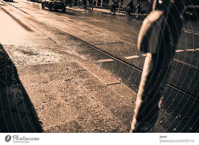 Schneematschnasse Straße im Sonnenschein Fußgängerübergang Ampel Verkehrswege Tauwetter Winter glänzend Sonnenlicht Fahrbahn Fahrradfahren Straßenkreuzung