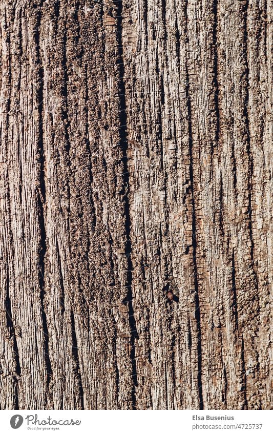 Rinde, holz rinde strucktur baum alt Natur Wald braun natürlich Umwelt Muster Hintergrund Detailaufnahme Textur Nahaufnahme Material