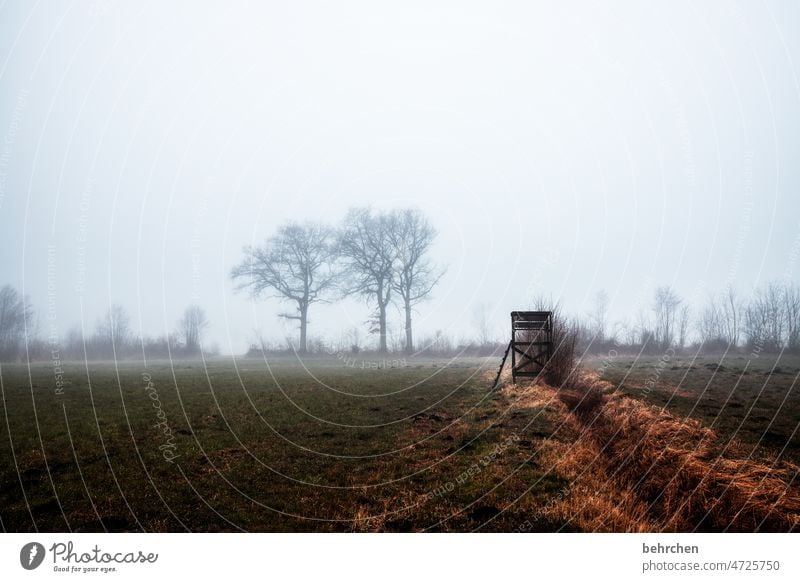 tristesse, mon amour bedeckt trüb Hochsitz Wolken ruhig Umwelt Natur kalt Kälte Landwirtschaft Einsam Einsamkeit Acker Außenaufnahme Landschaft Menschenleer