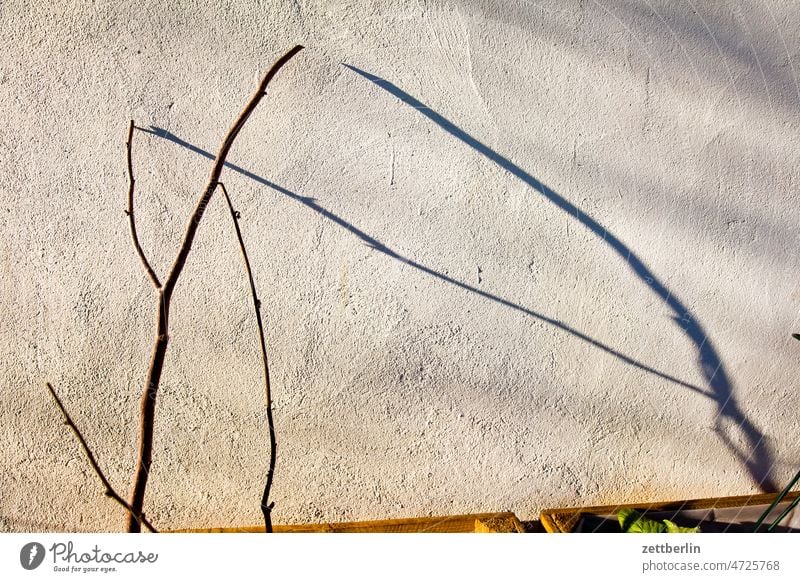 Dünne Schatten an der Wand abend ast dunkel dämmerung erholung erwachen ferien frühjahr frühling frühlingserwachen garten himmel kleingarten kleingartenkolonie