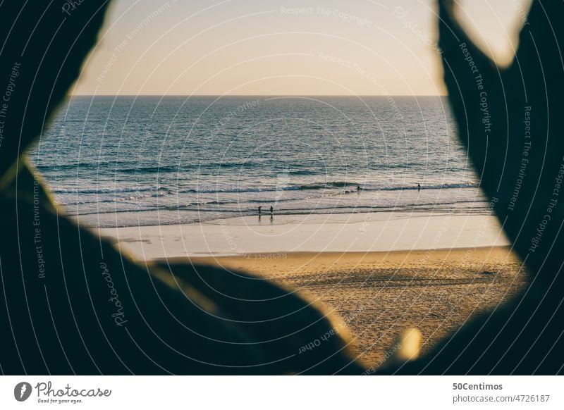 Strand von Algarve Sommerurlaub Schatten Sonnenstrahl Gelber Himmel Morgen Umwelt Kontrast Ferien & Urlaub & Reisen Freiheit Sonnenaufgang gelb Abenteuer