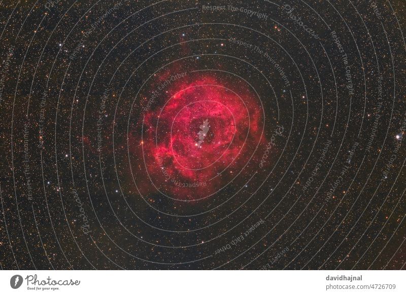 Rosettennebel Nebel Roséwein Caldwell 49 Nacht tief Himmel Milchstrasse Stern Sternbild Monoceros Mannheim Deutschland Europa Astronomie Wissenschaft