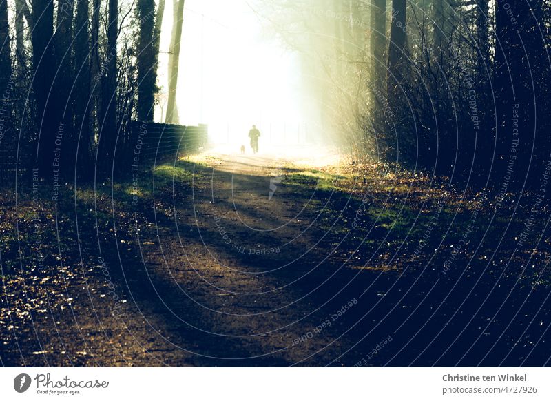 Ein Fahrradfahrer und sein Hund kommen mir auf einem Weg im Park oder Wald entgegen. Noch sind sie im hellen Sonnenlicht und erreichen gleich den schattigen Bereich unter den Bäumen.