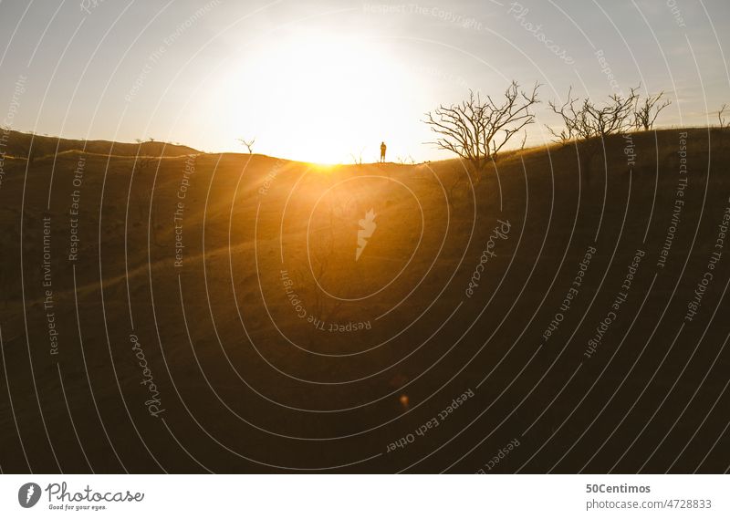 Sonnenuntergang in der Steppe Silhouette Spaziergang Ausflug Außenaufnahme Landschaft Himmel Gegenlicht Schönes Wetter Wüste Berge Farbfoto von hinten Natur