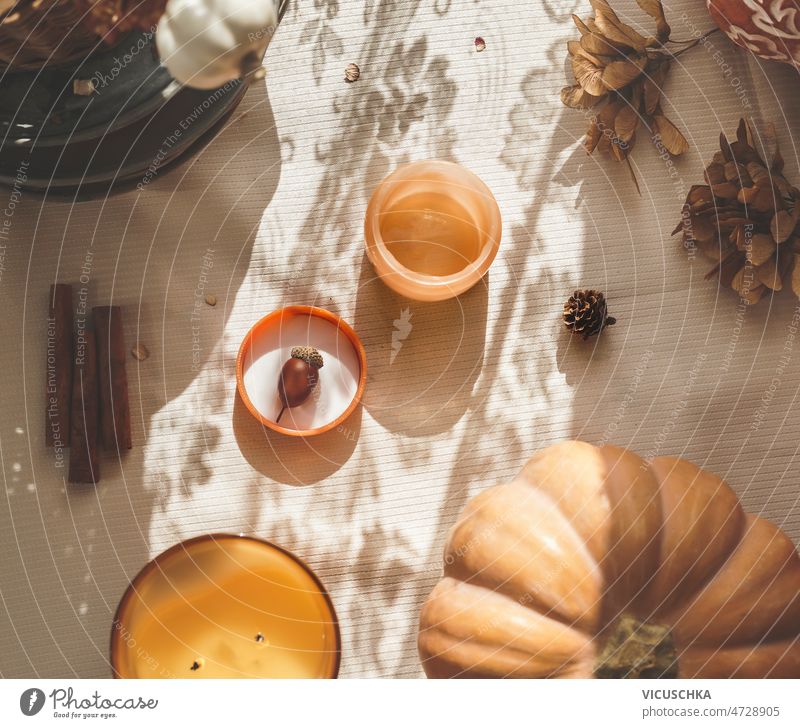 Gemütliches Stillleben mit Kerzen, Kürbis, Zimtstangen und Herbstblättern an beiger Tischdecke mit Sonnenlicht gemütlich Herbstlaub Decke saisonbedingt