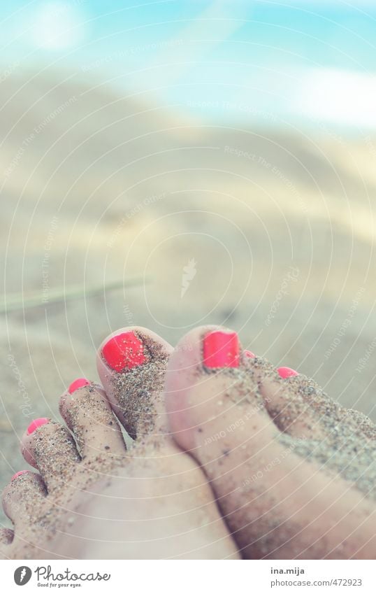 Sand an den Füßen I Pediküre Erholung ruhig Meditation Schwimmen & Baden Mensch feminin Junge Frau Jugendliche Erwachsene Fuß 18-30 Jahre Wasser Strand