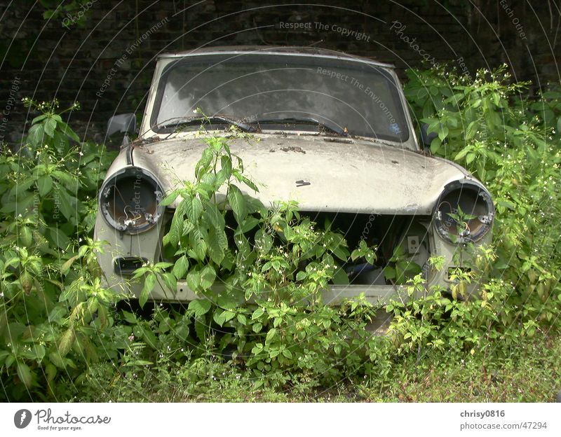 Nature strikes back Trabbi Sachsenring Vergänglichkeit trabbi natur Technik & Technologie alt