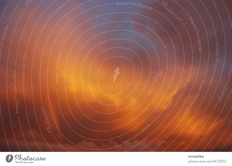 sommergold Glück harmonisch Umwelt Natur Urelemente Luft Himmel Wolken Sonne Sonnenaufgang Sonnenuntergang Sonnenlicht Klima Wetter Schönes Wetter Zeichen