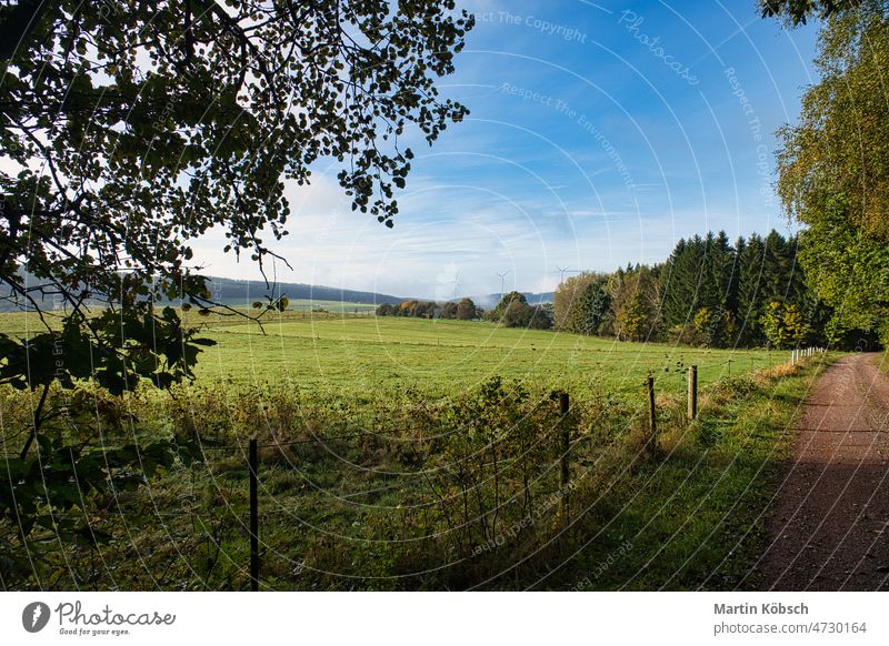 Landschaft mit Hügeln, Feldern, Wiesen und Landwirtschaft. Wandern in der Natur. außerhalb Spaziergang Windstille Panorama Sommer Leichtigkeit Frühling niemand