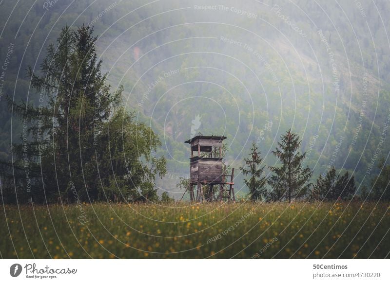 Einsamer Hochstand Alpen Wolken Felsen alpen berg Idylle Landschaft wandern natürlich friedlich Umwelt Farbfoto Menschenleer Natur Außenaufnahme Salzburg