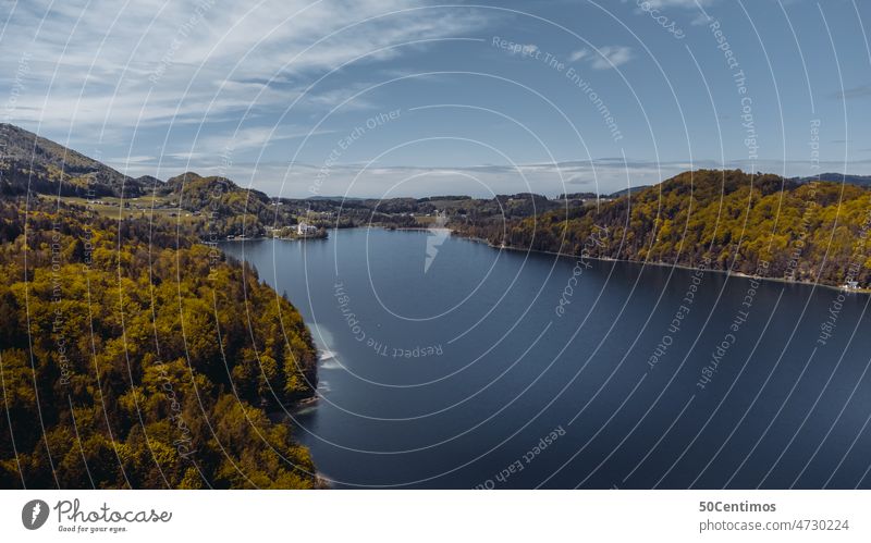 über dem Fuschl am See Wald Außenaufnahme Natur Menschenleer Farbfoto Umwelt Tag friedlich grün einfach Kontrast natürlich Sommer Bäume wandern erkunden