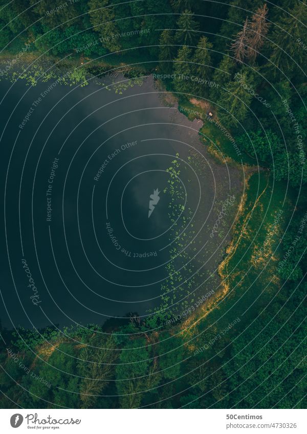 Waldsee von oben See Drohne Außenaufnahme Natur Seeufer Wasseroberfläche Menschenleer Farbfoto Landschaft Umwelt Tag Baum Teich friedlich Pflanze Erholung