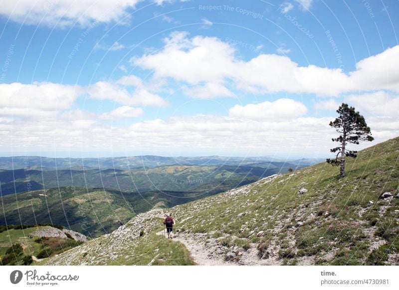 Frollein S. wandert in den französischen Pyrenäen berg bergwanderung horizont himmel weg baum landschaft weite ferne urlaub reisen wandern felsen wiese sommer