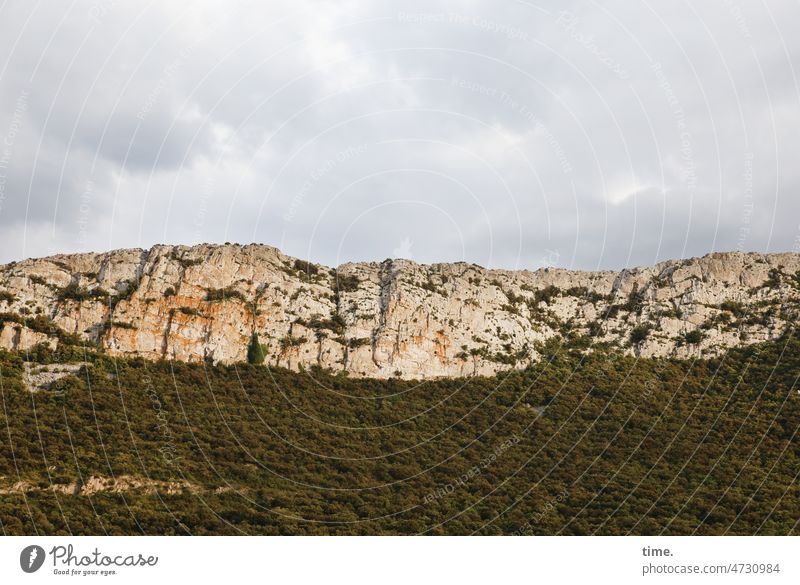 Felsmassiv im Vallée de l'Agly berg horizont himmel baum landschaft weite ferne urlaub reisen felsen ruhe stille Frankreich Pyrenäen