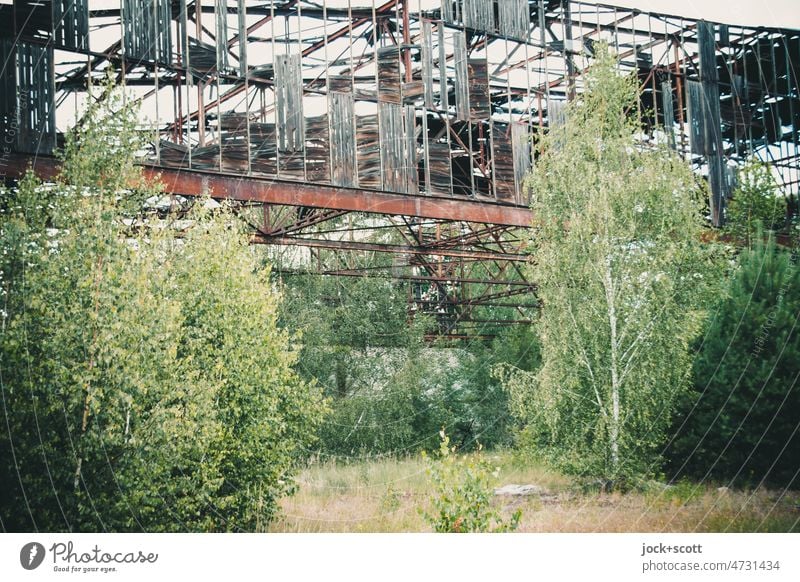 Lost Land Love - Hier, in den Ruinen, holt sich die Natur alles zurück Verlorenes Land Liebe lost places Zerstörung Strukturen & Formen Endzeitstimmung Hangar