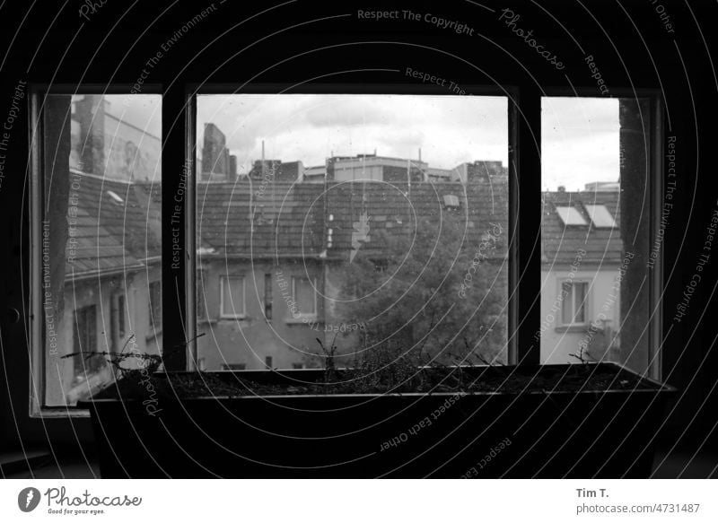 Blick aus den obersten Treppenhausfenster in den Hinterhof Prenzlauer Berg Berlin bnw s/w Fenster Schwarzweißfoto Stadt Hauptstadt Stadtzentrum Tag Menschenleer