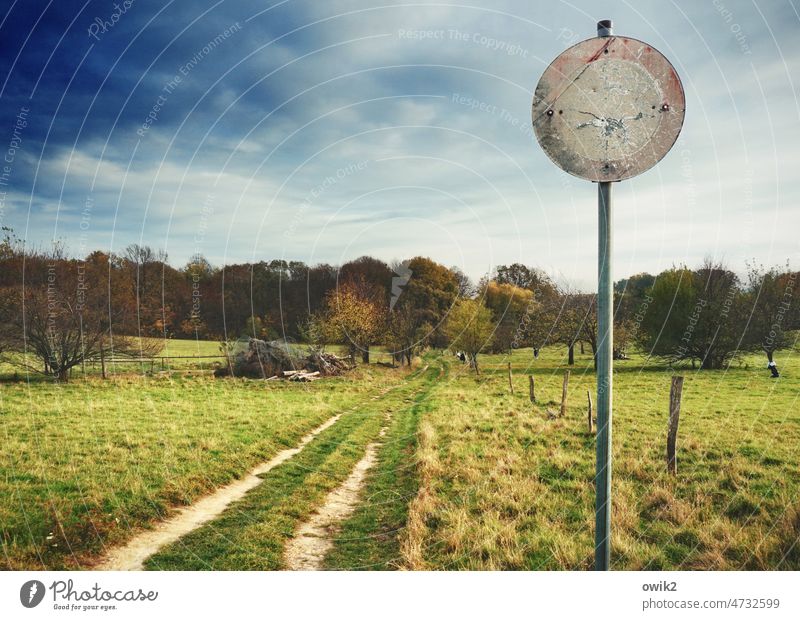 Naturschutzgebiet Verkehrszeichen Verbotsschild Fahrverbot draußen Warnschild Hinweisschild alt Schilder & Markierungen Metall Verkehrswege Wald Wiese Sträucher