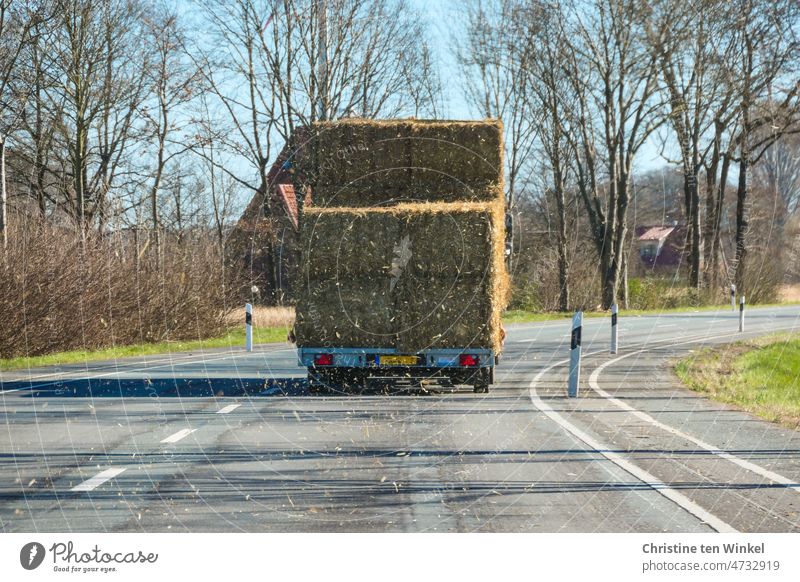 Der Wagen vor uns auf der Landstraße hat Strohballen geladen und kleine Strohteile wirbeln durch die Luft auf uns zu Strohballen transportieren Transporter