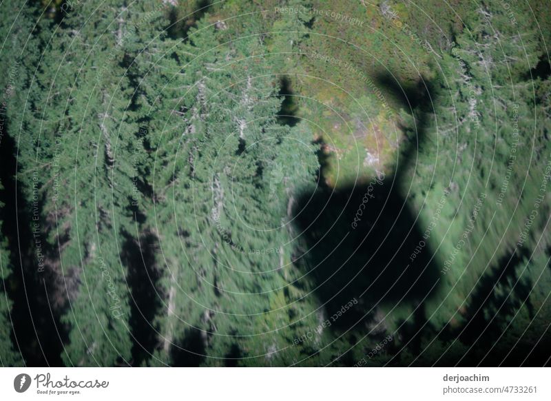 Seilbahn Gondel mit großem Schatten über grünem Wald. Gondellift Farbfoto Tag Berge u. Gebirge Landschaft Außenaufnahme Menschenleer Tourismus Sommer Ausflug