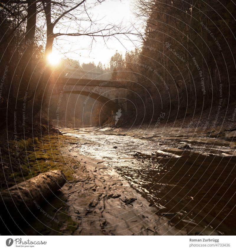 Alte Schwarzwasserbrücke im Gegenlicht bei Sonnenuntergang Brücke Bogen Bach Wildbach Sonnenlicht glänzen Wasser Wildwasser Fluss Strömung Natur Verkehrsweg