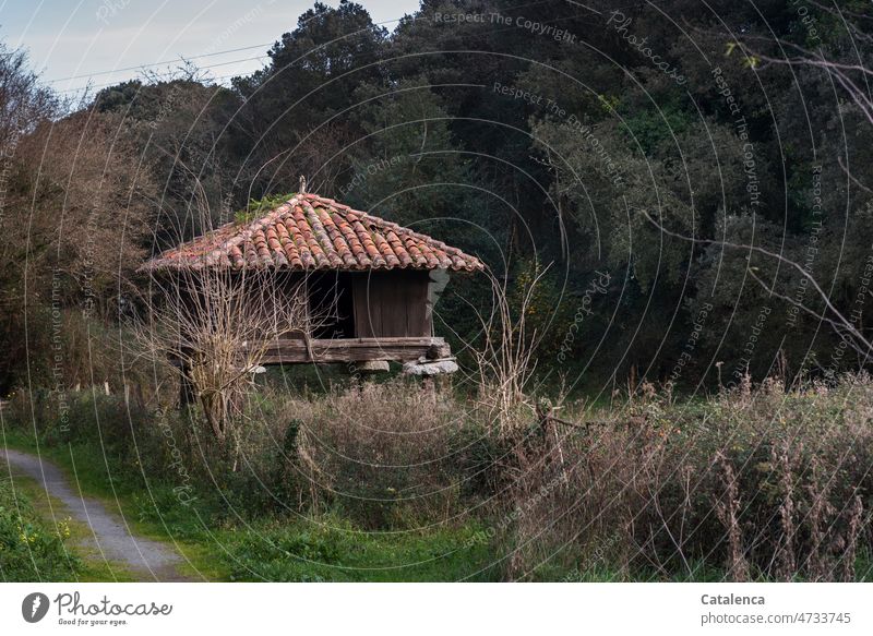 Ein Hòrreo am Wegesrand Bauwerk Speicherbau Dach Dachziege Holz Hecke Gras Bäume Himmel Tag Tageslicht Grün Orange Braun Natur Landschaft