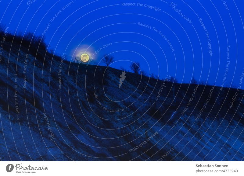 Vollmond geht in kalter Winterlandschaft zur blauen Stunde auf Natur Landschaft Mond Himmel Nacht Abend dunkel Baum Hügel schön im Freien Nachthimmel Licht